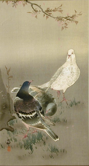 小原古邨: Pigeons - Art Gallery of Greater Victoria