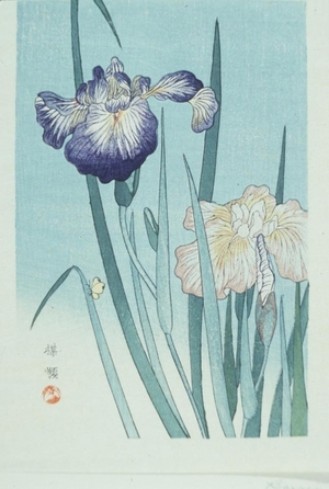 Kono Bairei: Iris - Art Gallery of Greater Victoria