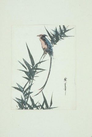 Utagawa Hiroshige: Long Scissor-tailed Bird on Bamboo Shoot - Art Gallery of Greater Victoria