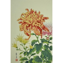 Nishimura Hodo : Chrysanthemum - Art Gallery of Greater Victoria