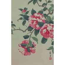 Nishimura Hodo : Camellia - Art Gallery of Greater Victoria