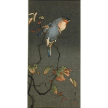 Watanabe Seitei: Blue Birds at Night - Art Gallery of Greater Victoria