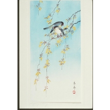 Imao Keinan: Two Birds on Yellow Blossom Branches - Art Gallery of Greater Victoria