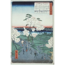 Utagawa Hiroshige II, 二歌川広重 (Utagawa Hiroshige II)による浮世絵「Sumidagawa, Cherry Blossom Viewing」