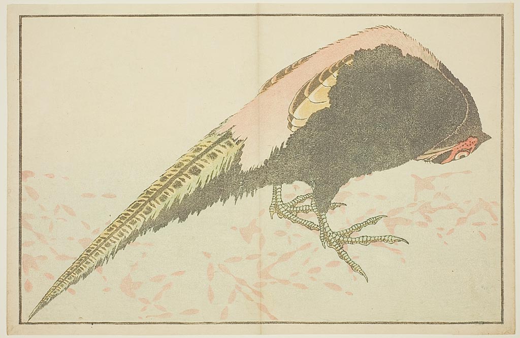 Katsushika Hokusai: Male Pheasant, from The Picture Book of