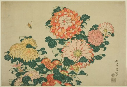 葛飾北斎: Chrysanthemums and Bee, from an untitled series of Large Flowers - シカゴ美術館