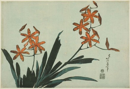 Katsushika Hokusai: Orange Orchids, from an untitled series of large flowers - Art Institute of Chicago