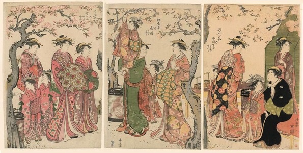 鳥居清長: Women and Blossoming Trees (Naka no machi no sakura) - シカゴ美術館