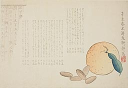 Kosei: Tangerine and Chinese Legend - シカゴ美術館