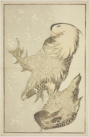 Katsushika Hokusai: Two Waterfowl, from The Picture Book of Realistic Paintings of Hokusai (Hokusai shashin gafu) - Art Institute of Chicago