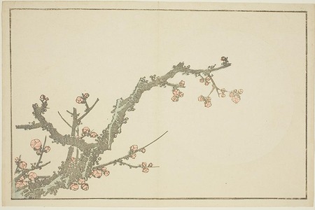 Katsushika Hokusai: Blooming Plum Tree, from The Picture Book of Realistic Paintings of Hokusai (Hokusai shashin gafu) - Art Institute of Chicago