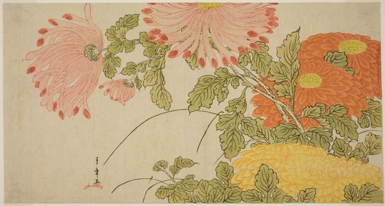 Katsukawa Shunsho: Surimono with Chrysanthemum Design - Art Institute of Chicago