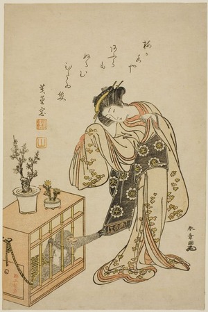 勝川春章: Young Woman with a Caged Monkey (Calendar Print for New Year 1776) - シカゴ美術館