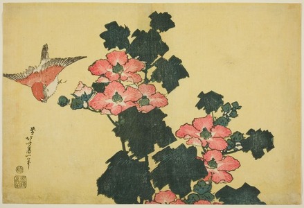 Katsushika Hokusai: Cotton Roses and Sparrow, from an untitled series of Large Flowers - Art Institute of Chicago