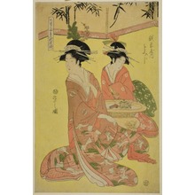 細田栄之: Beauties Parodying the Seven Sages - A Selection of Younger Courtesans (Shichi kenjin yatsushi bijin shinzo zoroe): Momiji of the Echizenya - シカゴ美術館