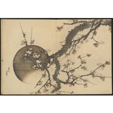 葛飾北斎: Plum Blossom and the Moon from the book Mount Fuji in Spring (Haru no Fuji) - シカゴ美術館