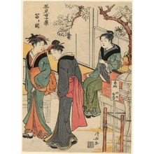 鳥居清長: Tomigaoka from the series Scenes of Ten Teahouses (Chamise jikkei) - シカゴ美術館