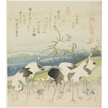 Japanischer Druck "Cranes by the Shore, illustration for The Leg Shell (Ashigai), from the series "A Matching Game with Genroku-period Poem Shells (Genroku kasen kai awase)"" von Katsushika Hokusai, 葛飾北斎 (Katsushika Hokusai)