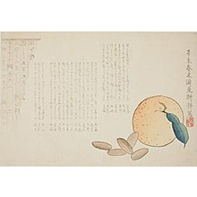 Kosei: Tangerine and Chinese Legend - Art Institute of Chicago