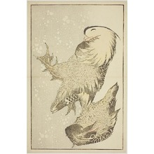 Japanischer Druck "Two Waterfowl, from The Picture Book of Realistic Paintings of Hokusai (Hokusai shashin gafu)" von Katsushika Hokusai, 葛飾北斎 (Katsushika Hokusai)