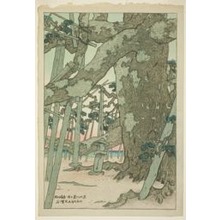伊東深水: Pine tree at Karasaki (Karasaki no matsu), from the series “Eight Views of Omi (Omi hakkei) “ - シカゴ美術館