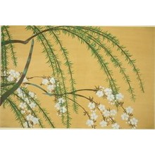 Kamisaka Sekka: Willow and Cherry Branches, from the series 