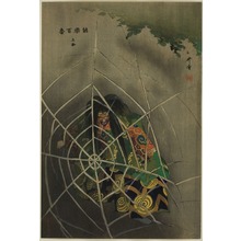 Tsukioka Kogyo: Tsuchi-gumo, from the series 