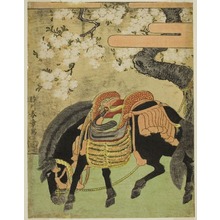 Katsukawa Shunsho: Black Horse Tethered under a Blossoming Cherry Tree - Art Institute of Chicago