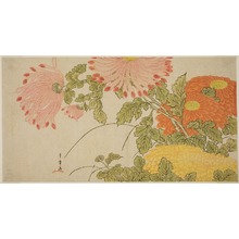 Katsukawa Shunsho: Surimono with Chrysanthemum Design - Art Institute of Chicago