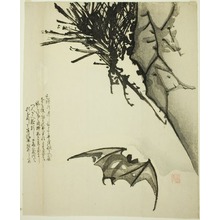 Estampe japonaise "A Bat Flying near a Pine Tree" par Issho