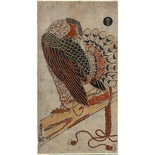鳥居清倍: A Male Hawk - シカゴ美術館