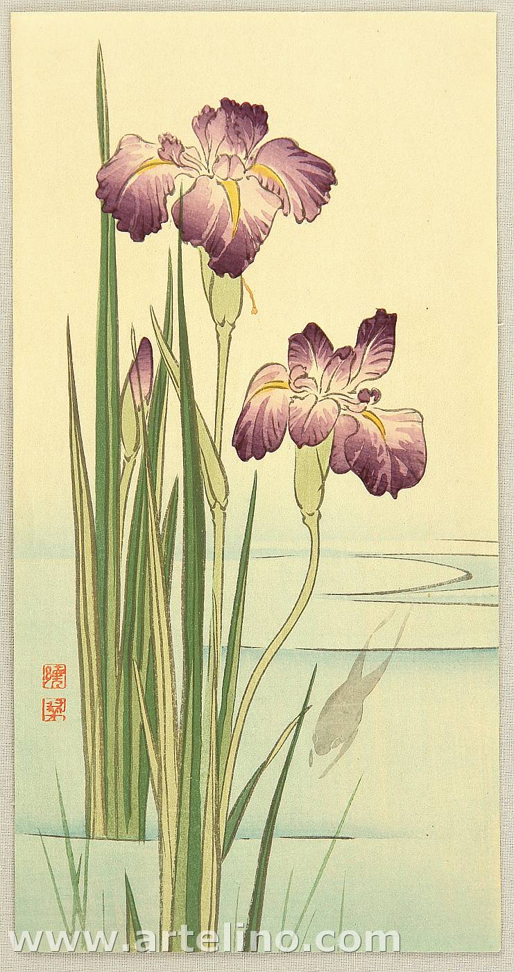 Unknown: Iris and Frog - Artelino - Ukiyo-e Search
