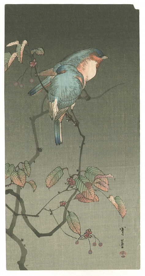 Watanabe Seitei: Two Blue Birds at Night (Muller Collection) - Artelino ...