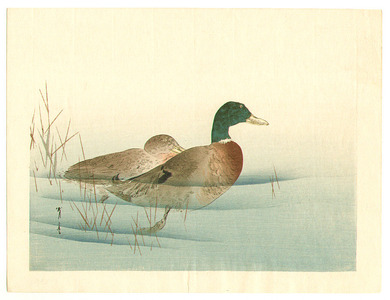 Watanabe Seitei: Two Mallard Ducks - Artelino