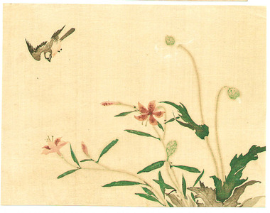 Kitano Tsunetomi: Flower and Bird (2 sheets) - Artelino