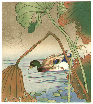 Unknown, 無款 (null)による浮世絵「Mallard and Lotus Leaves」