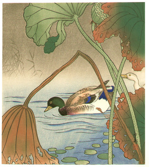 Unknown: Mallard and Lotus Leaves - Artelino