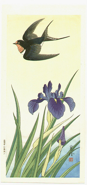 Jo: Black Bird and Iris - Artelino