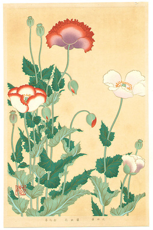 Ogata Korin: Poppies - Rimpa School Series - Artelino - Ukiyo-e Search