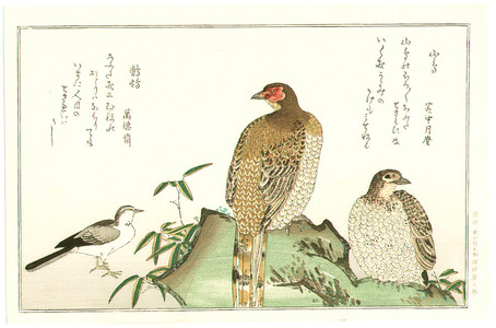 喜多川歌麿: Pheasant and Wagtail - Artelino