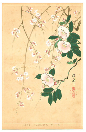 Sakai Hoitsu: Camellia and Cherry - Rimpa School Series - Artelino