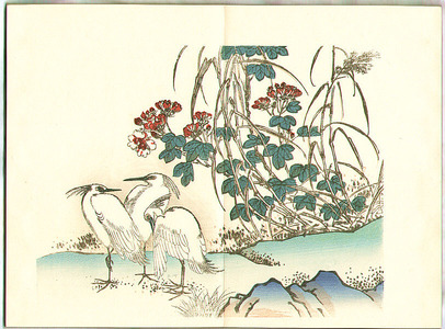 Nakabayashi Chikuto: Birds and Flowers by Chikuto - Chikuto Kacho Gafu (e-hon) - Artelino