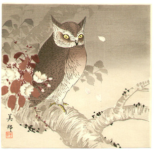 Takahashi Biho: Owl and Cherry Blossoms - Artelino