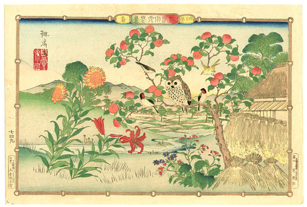 Utsushi Rinsai: Owl and Sunflowers - Artelino
