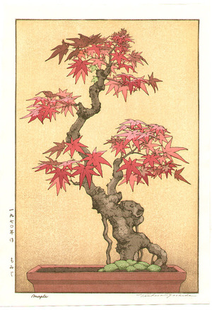 Yoshida Tsukasa: Bonsai Maple - Artelino