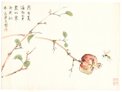 Komuro Suiun: Wasp and Pomegranate - Artelino
