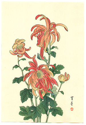 Watanabe Seitei: Red Chrysanthemums - Artelino