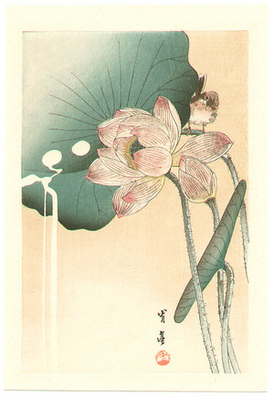 Watanabe Seitei: Bird and Lotus Flower (postcard size) - Artelino