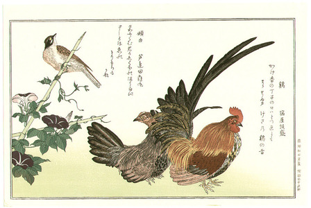 Kitagawa Utamaro: Chiken and Bunting - Artelino