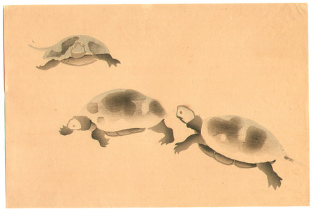 Ogata Korin After: Three Turtles - Artelino